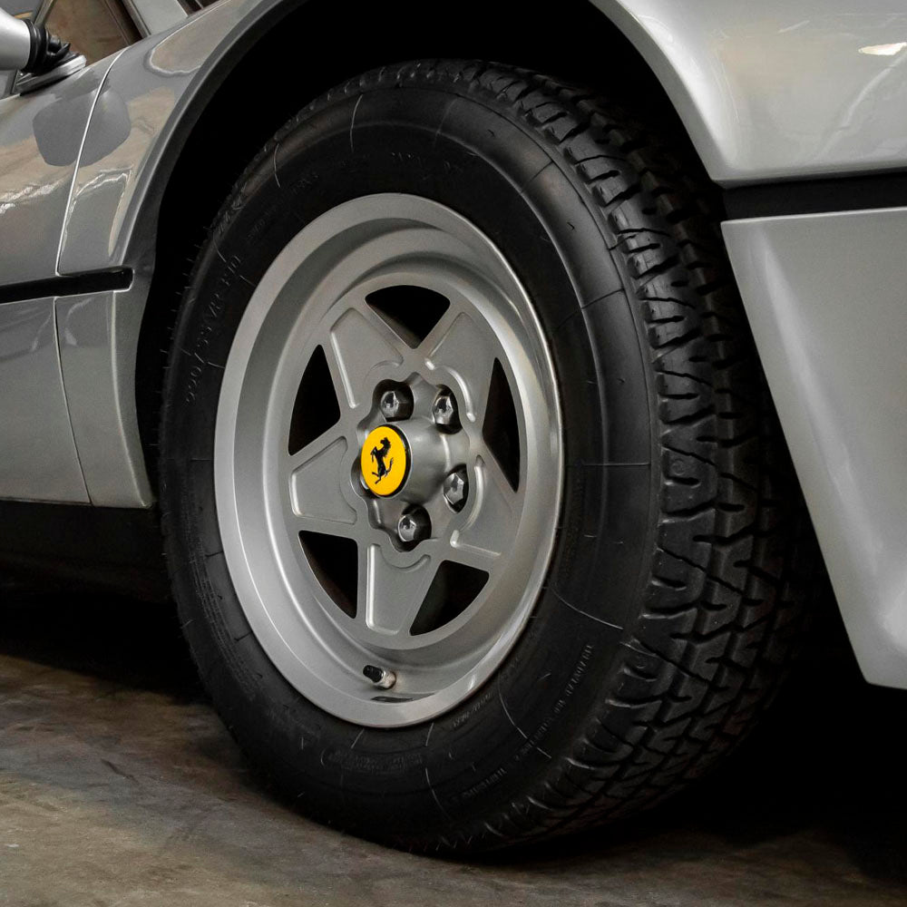 Protezione cerchi e pneumatici
